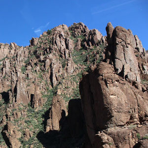 Meet your Posher, Lexi